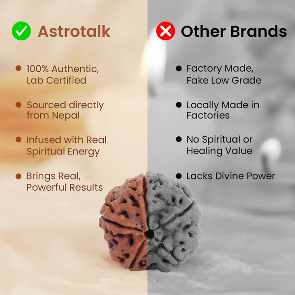 Us vs Them 6 Mukhi Rudraksha a678e940 4468 4ac7 b392 b3b74fb35be6