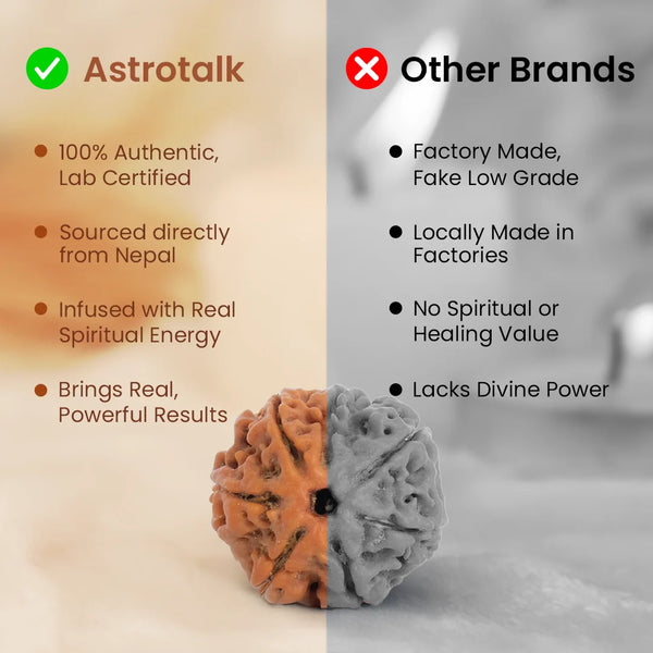 Us vs Them 7 Mukhi Rudraksha copy