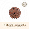 Rudraksha