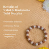 5 Mukhi Rudraksha tulsi 1