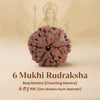 6 Mukhi 1